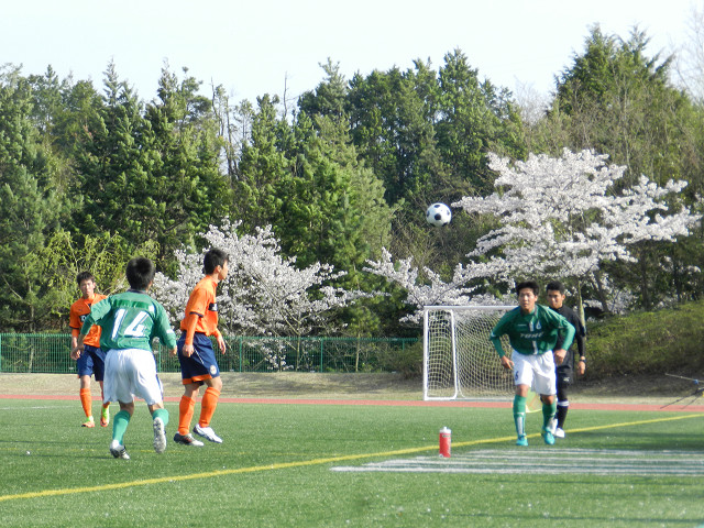 20170409B2_12.jpg